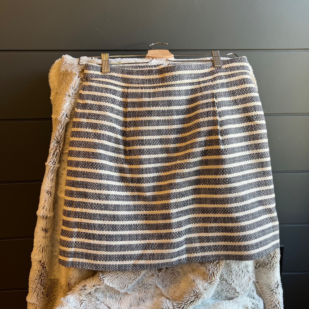 JCrew Cream and Dark Blue Lined Skirt